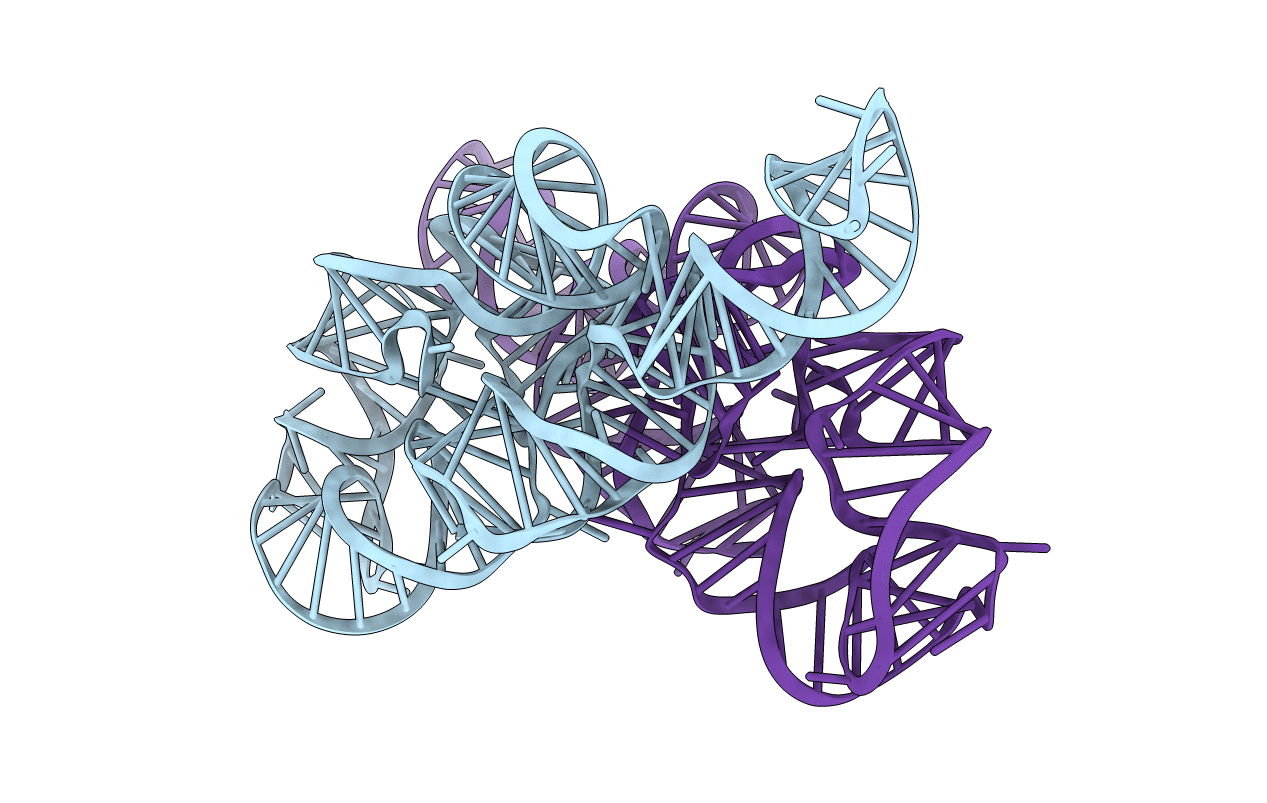 6D8M image