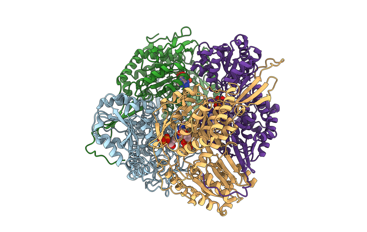 6D97 image