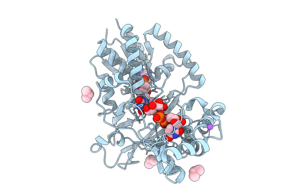 6D9B image