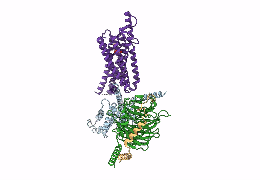 6D9H image