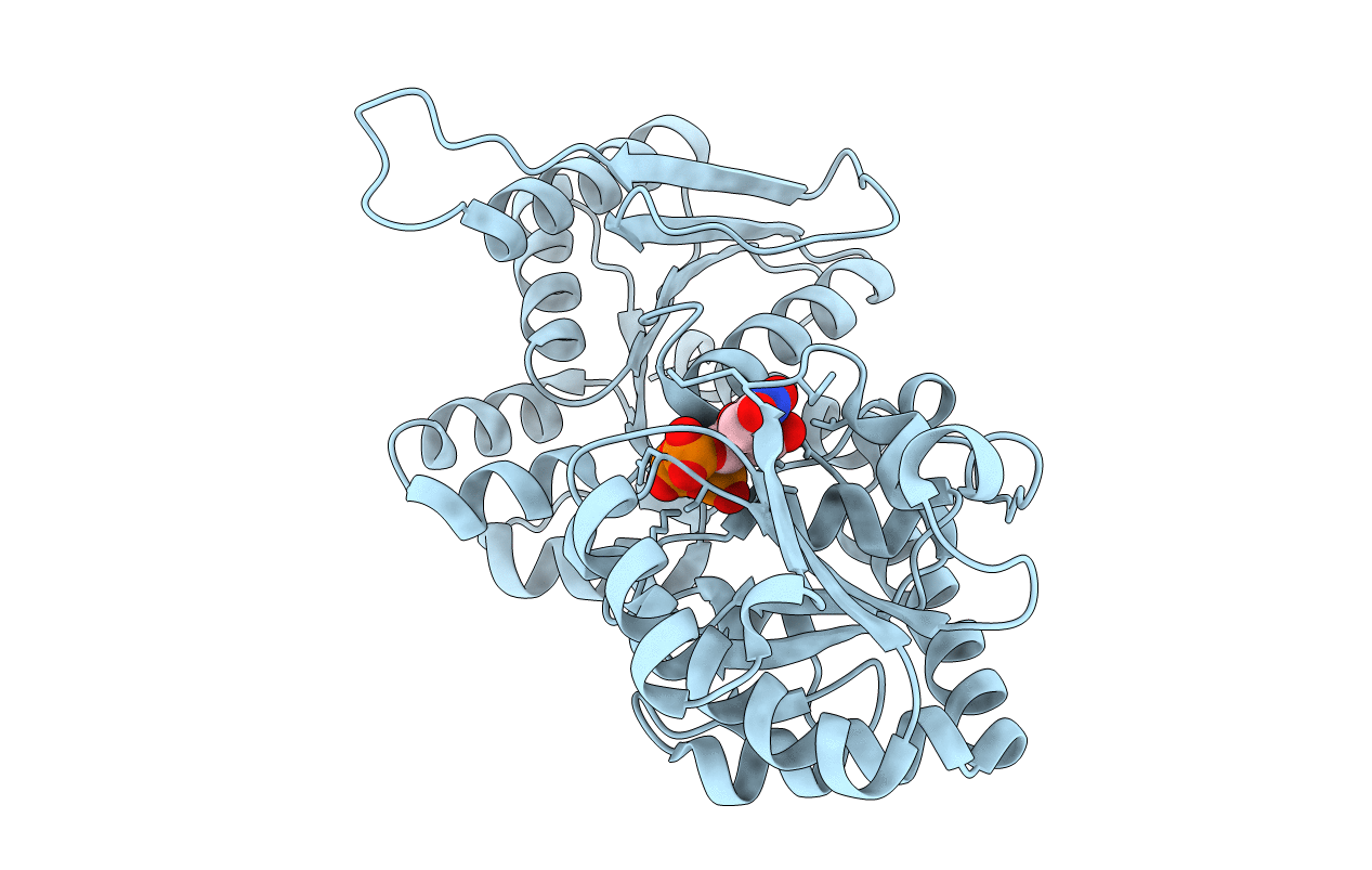 6D9T image