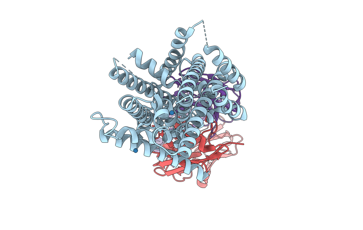 6D9W image