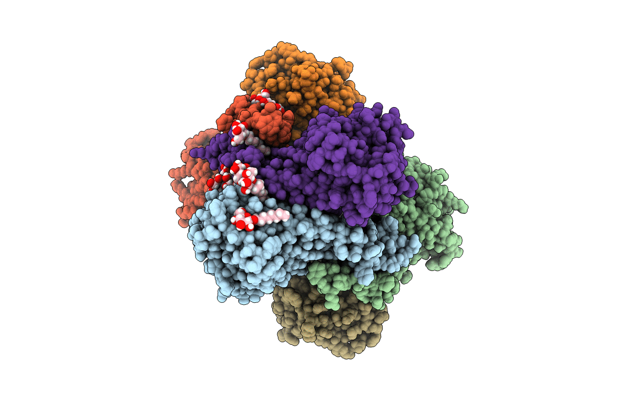 6D9Z image