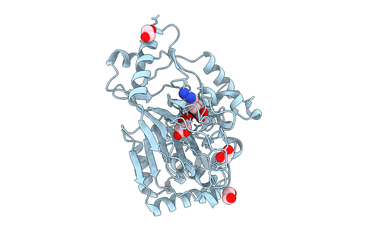 6DB2 image