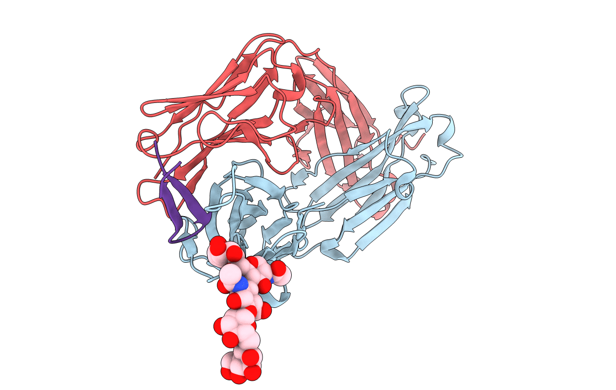 6DB6 image