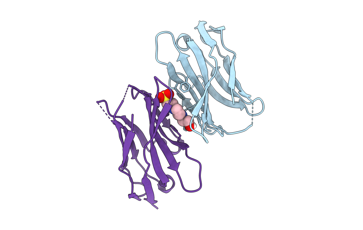 6DBE image