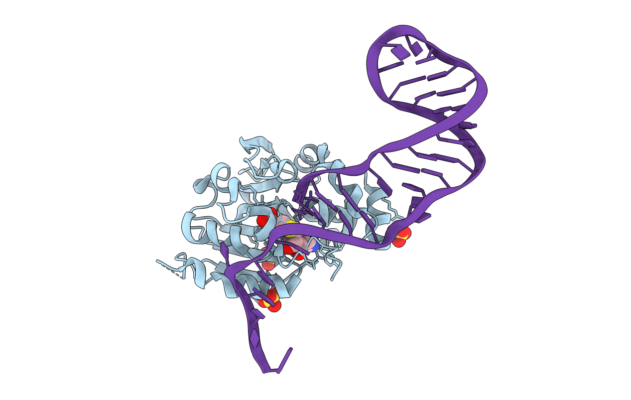 6DCB image