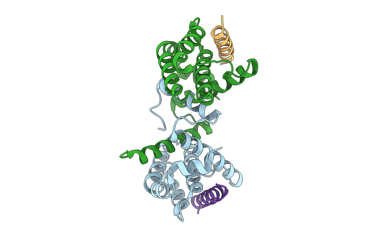 6DCN image