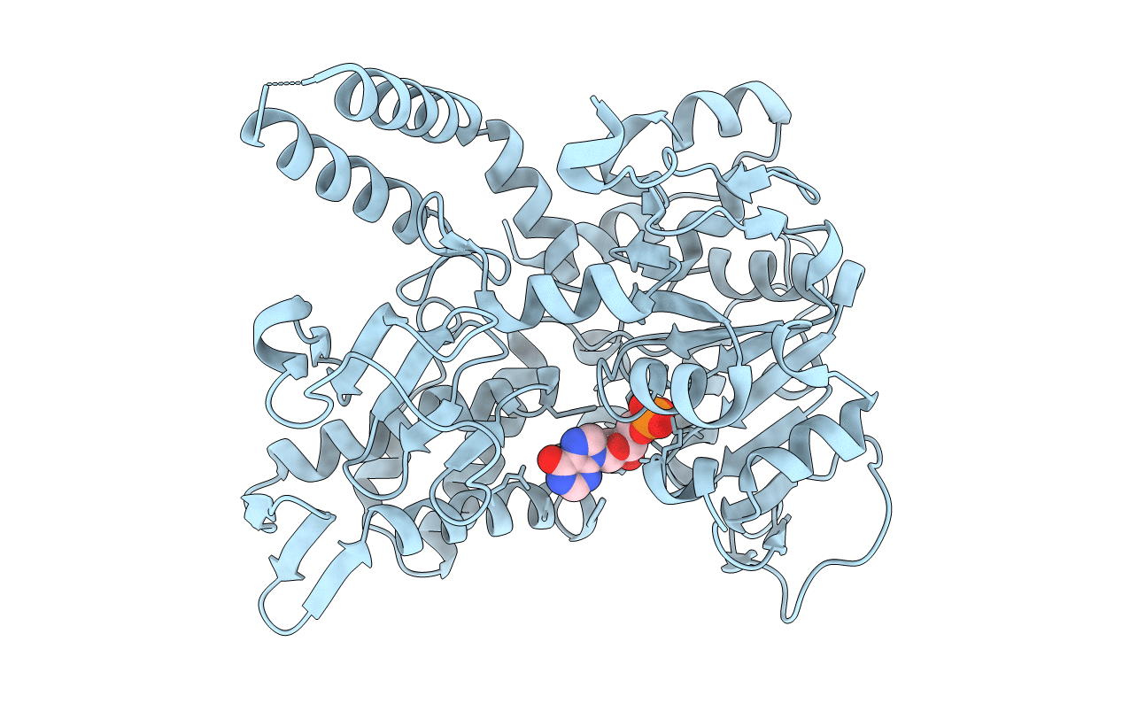 6DDH image