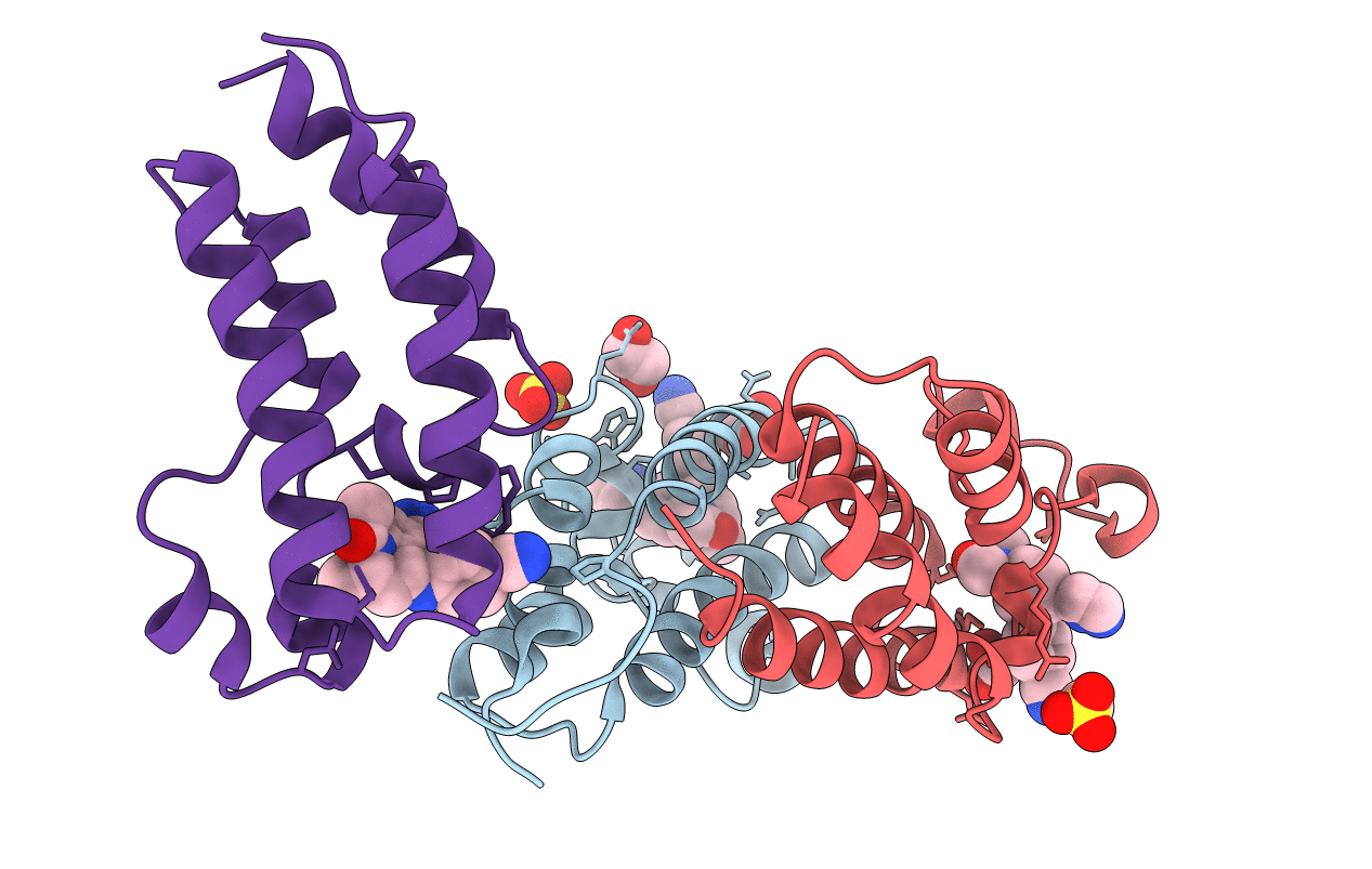 6DDI image