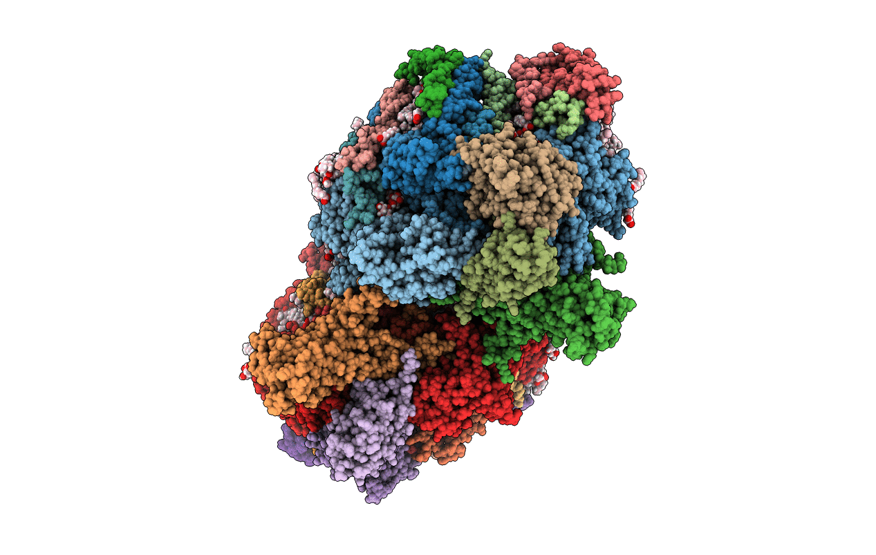 6DHO image