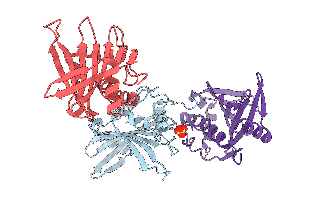 6DHX image