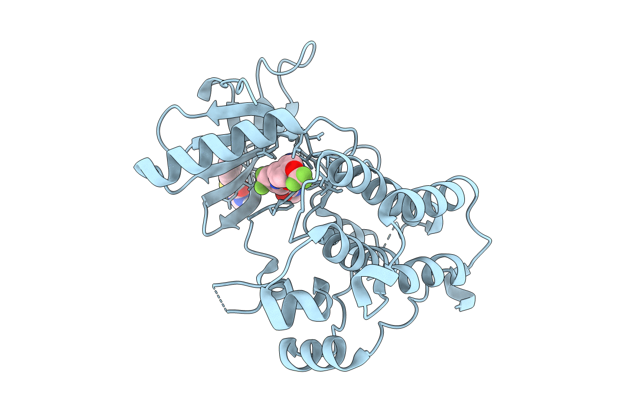6DKI image