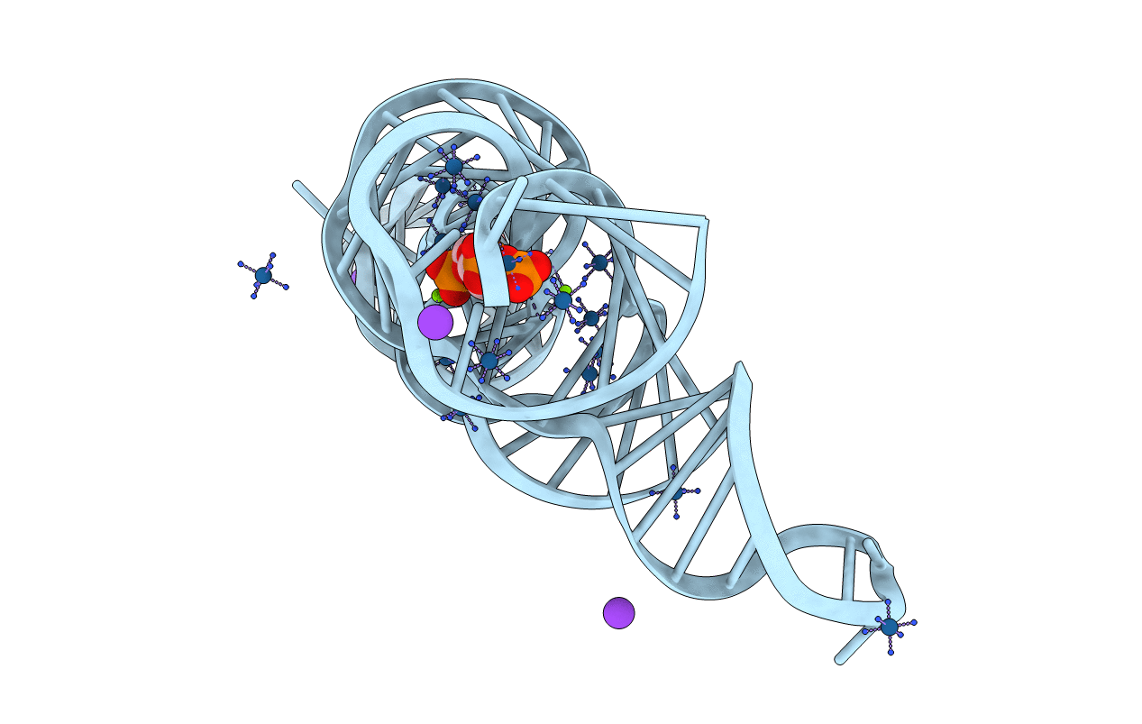 6DLR image