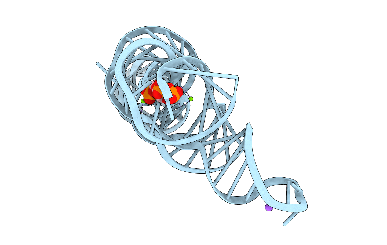 6DLT image