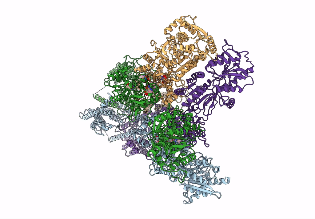 6DM1 image