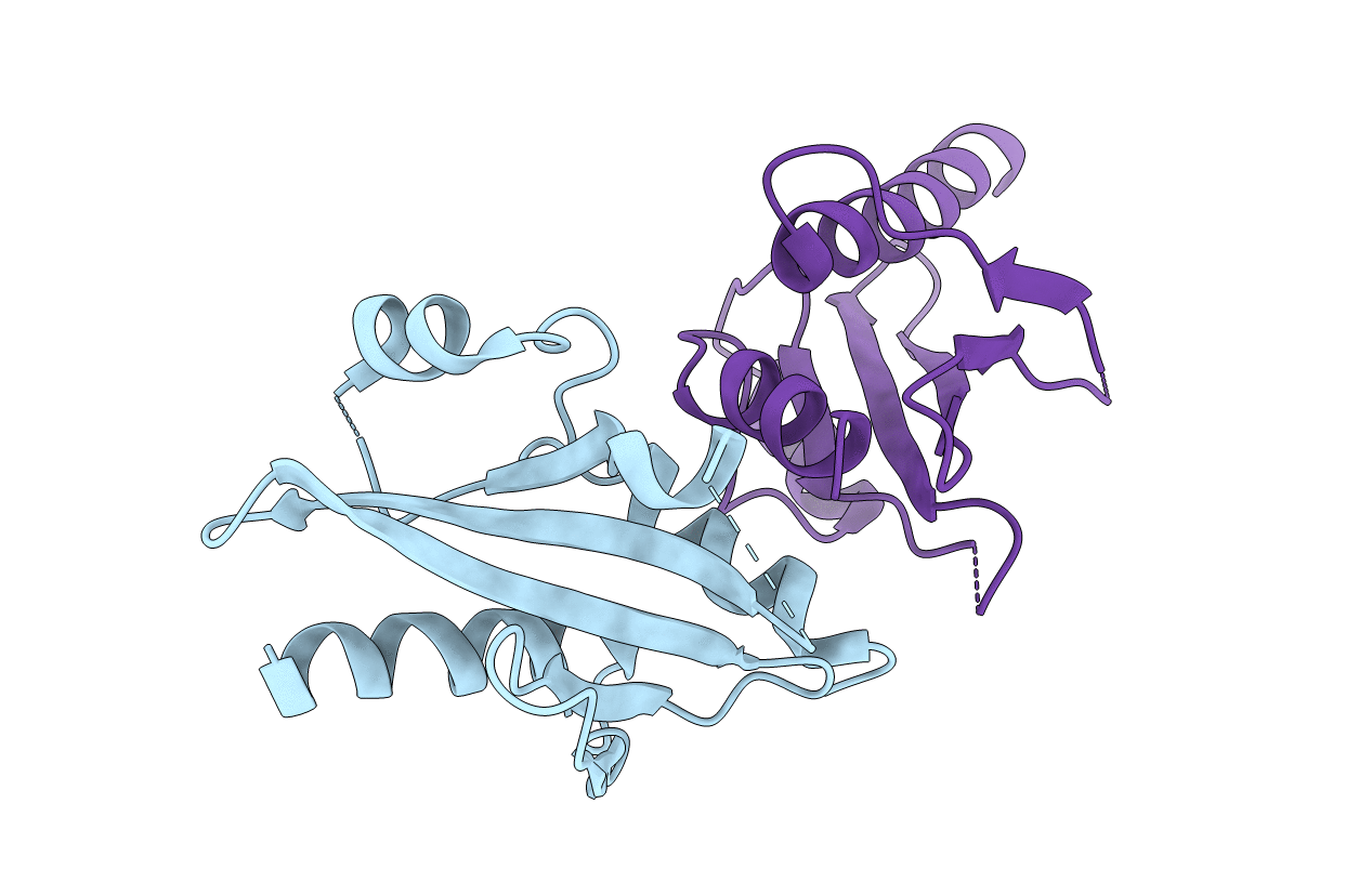 6DM3 image