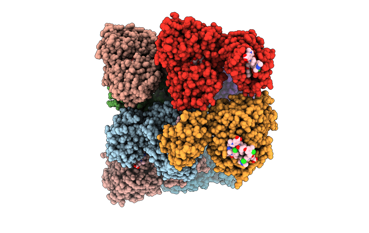6DM8 image