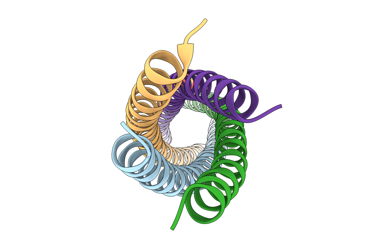 6DM9 image