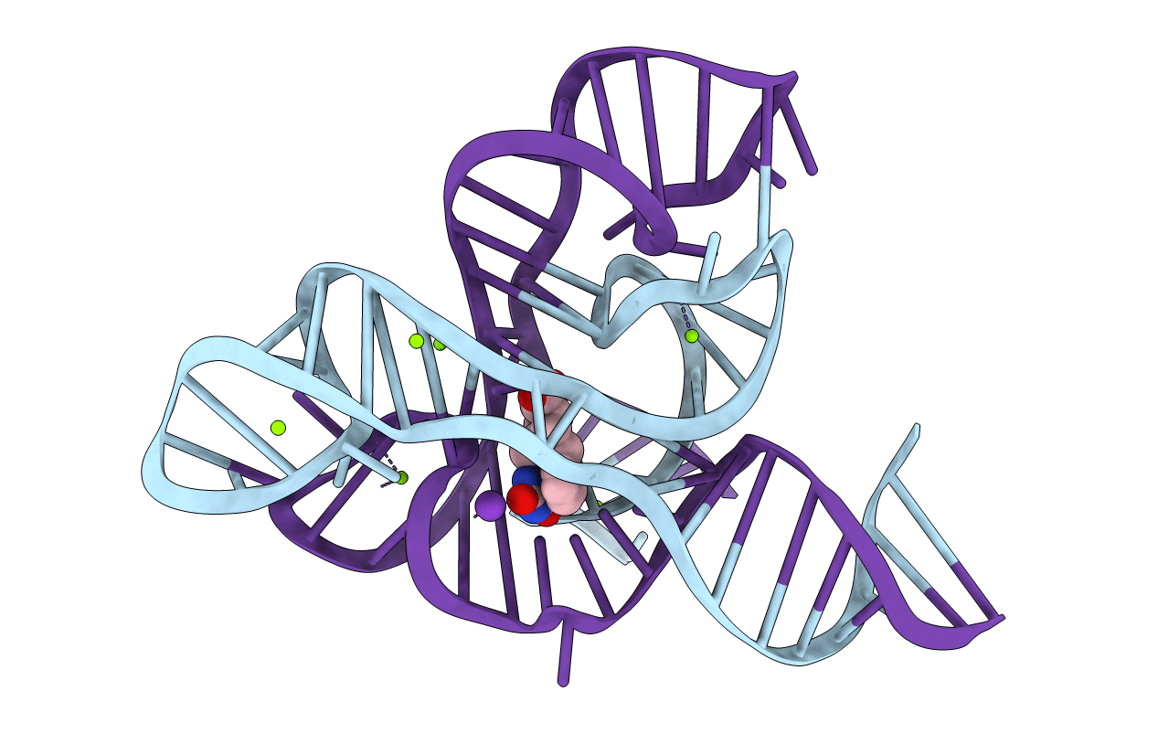 6DN2 image