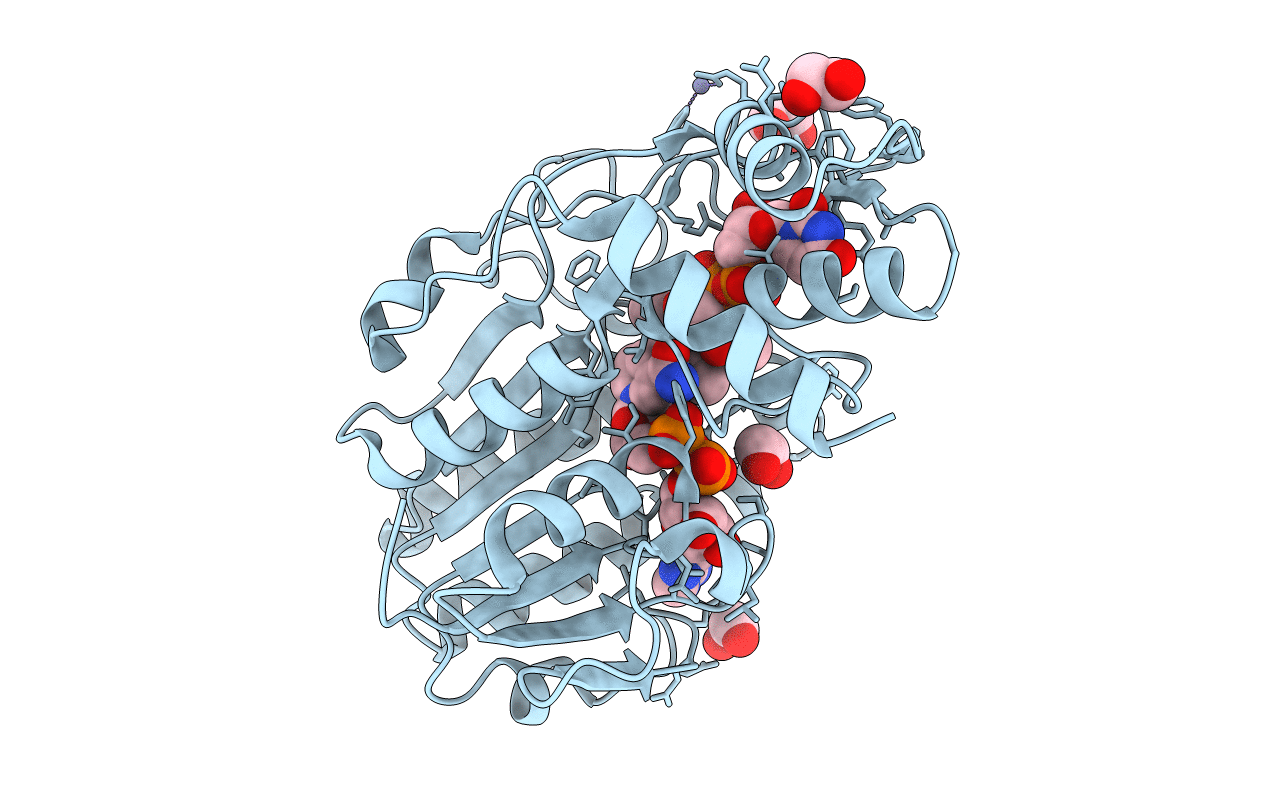 6DNT image