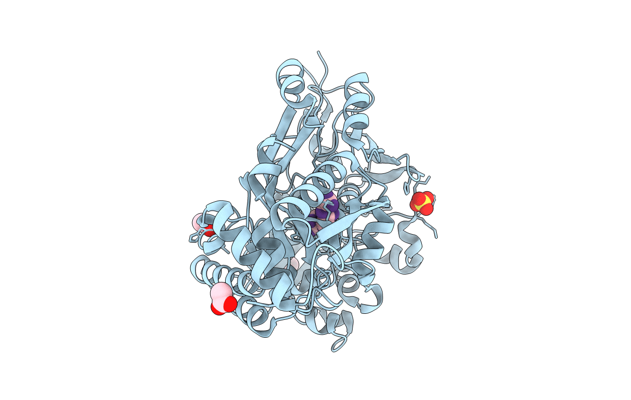 6DQR image