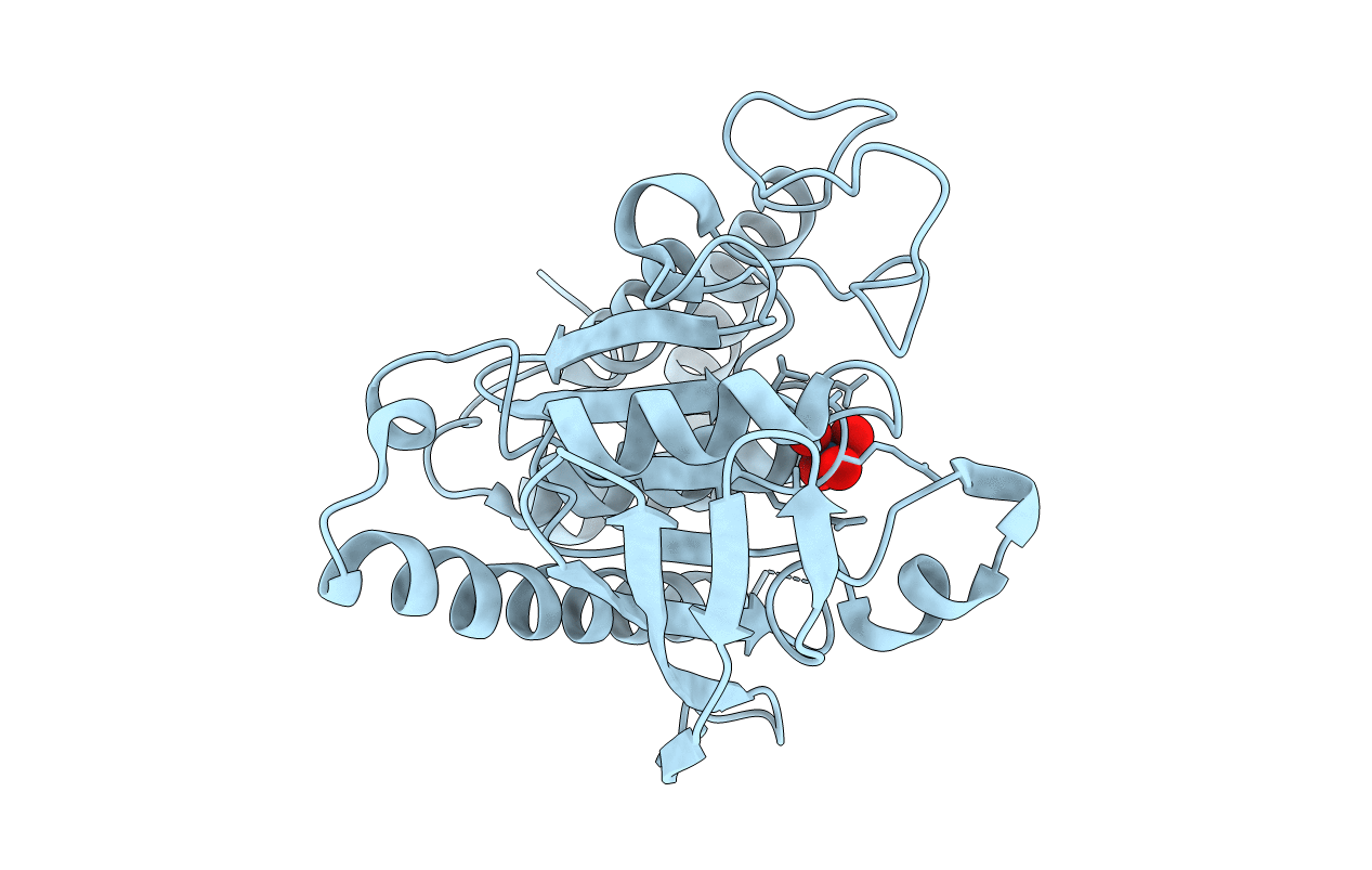 6DRB image