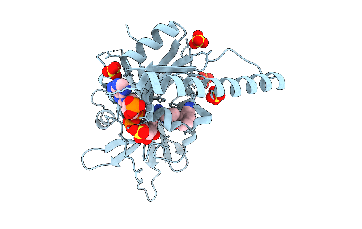 6DRS image