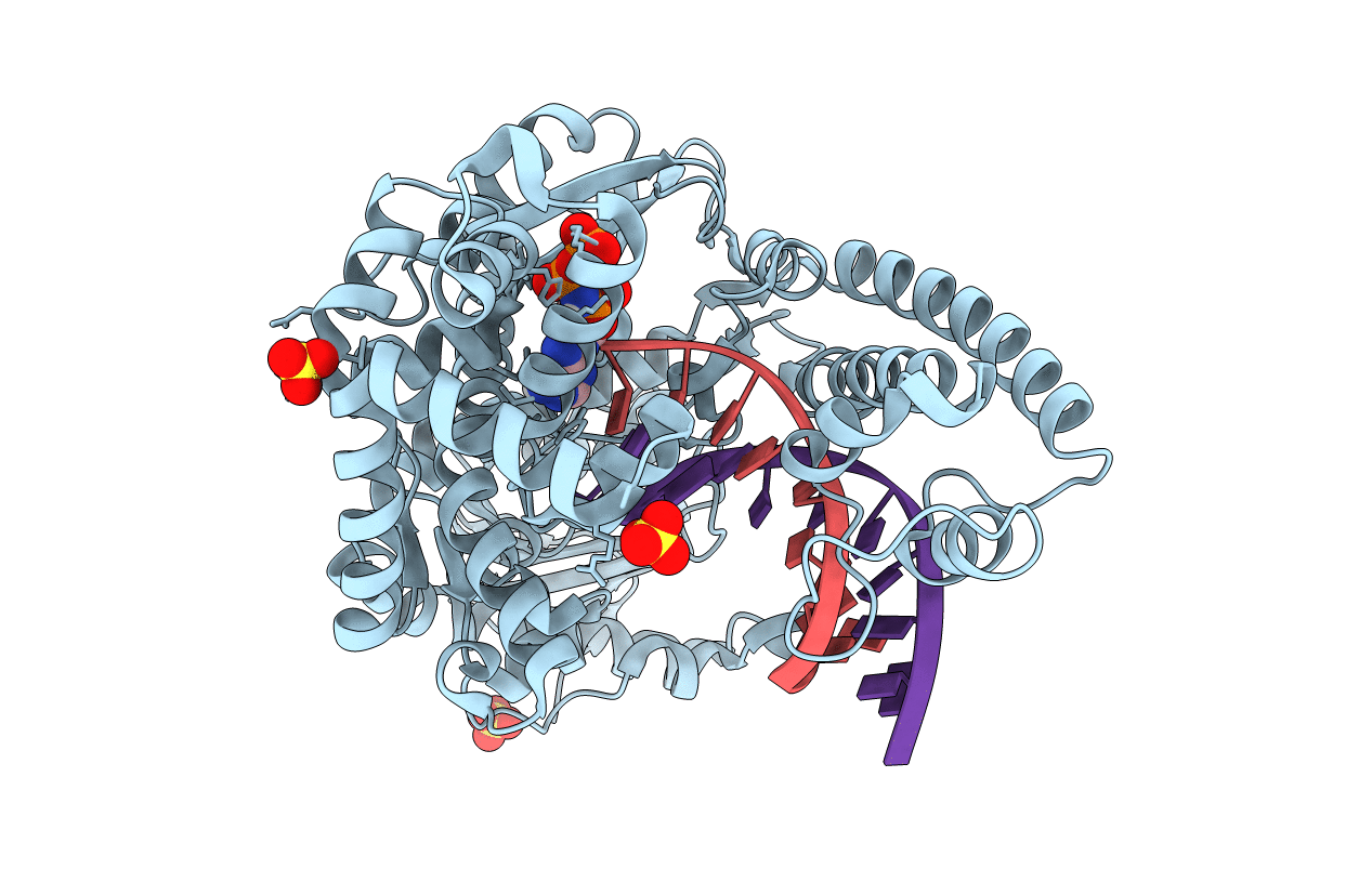 6DSU image