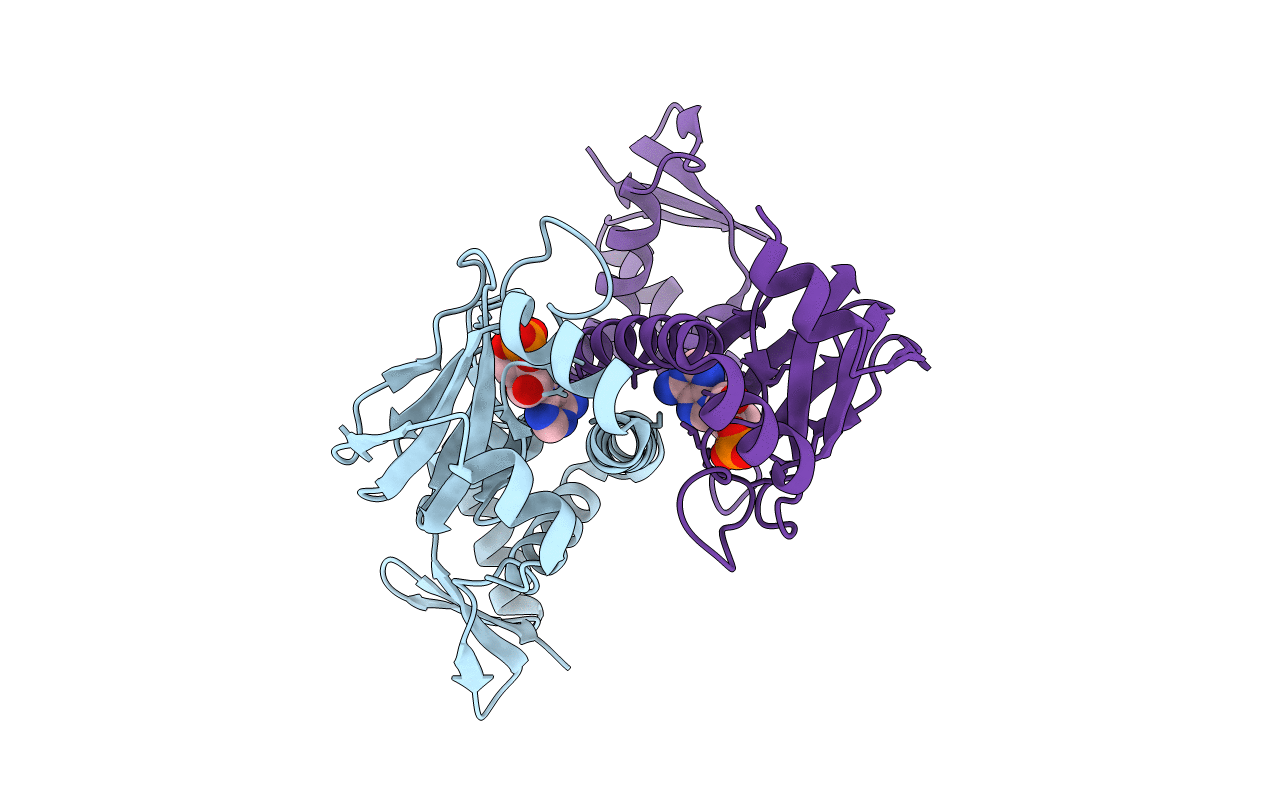 6DT4 image