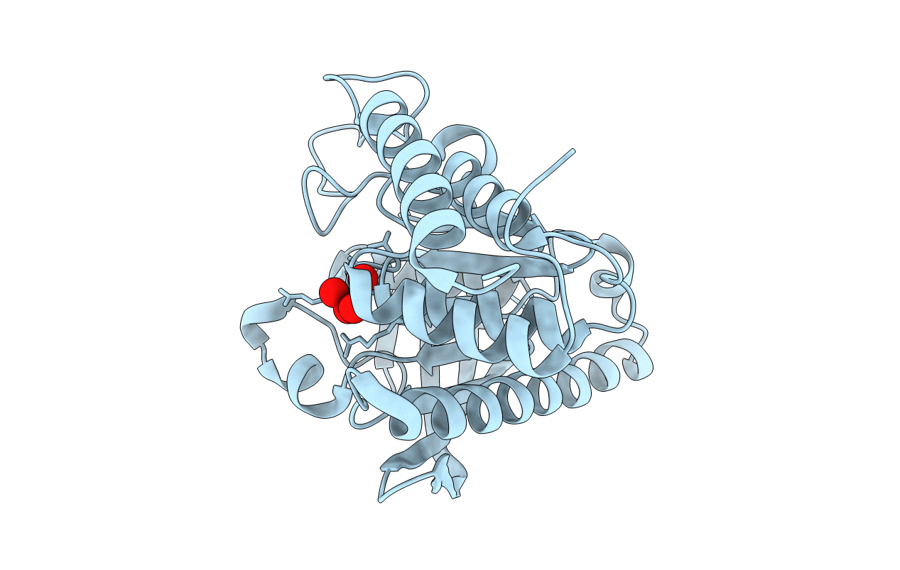 6DT6 image