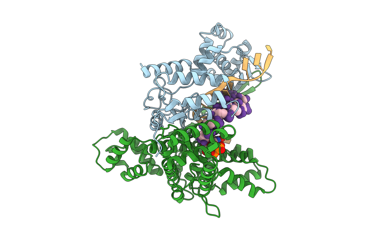 6DTA image