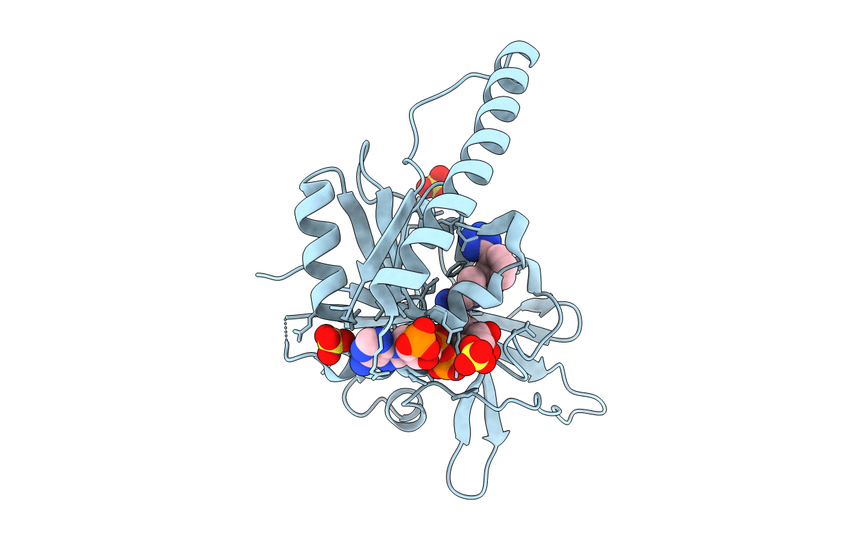 6DTC image