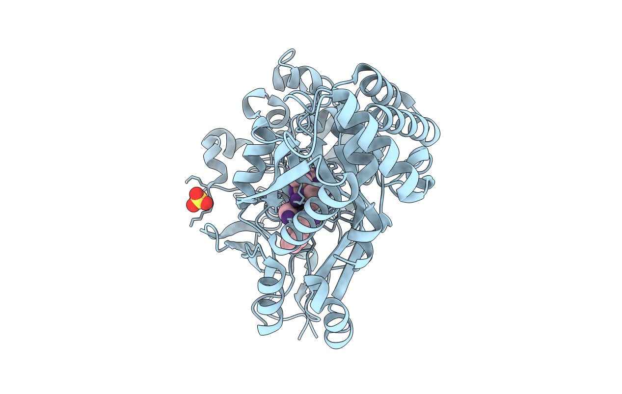 6DTH image