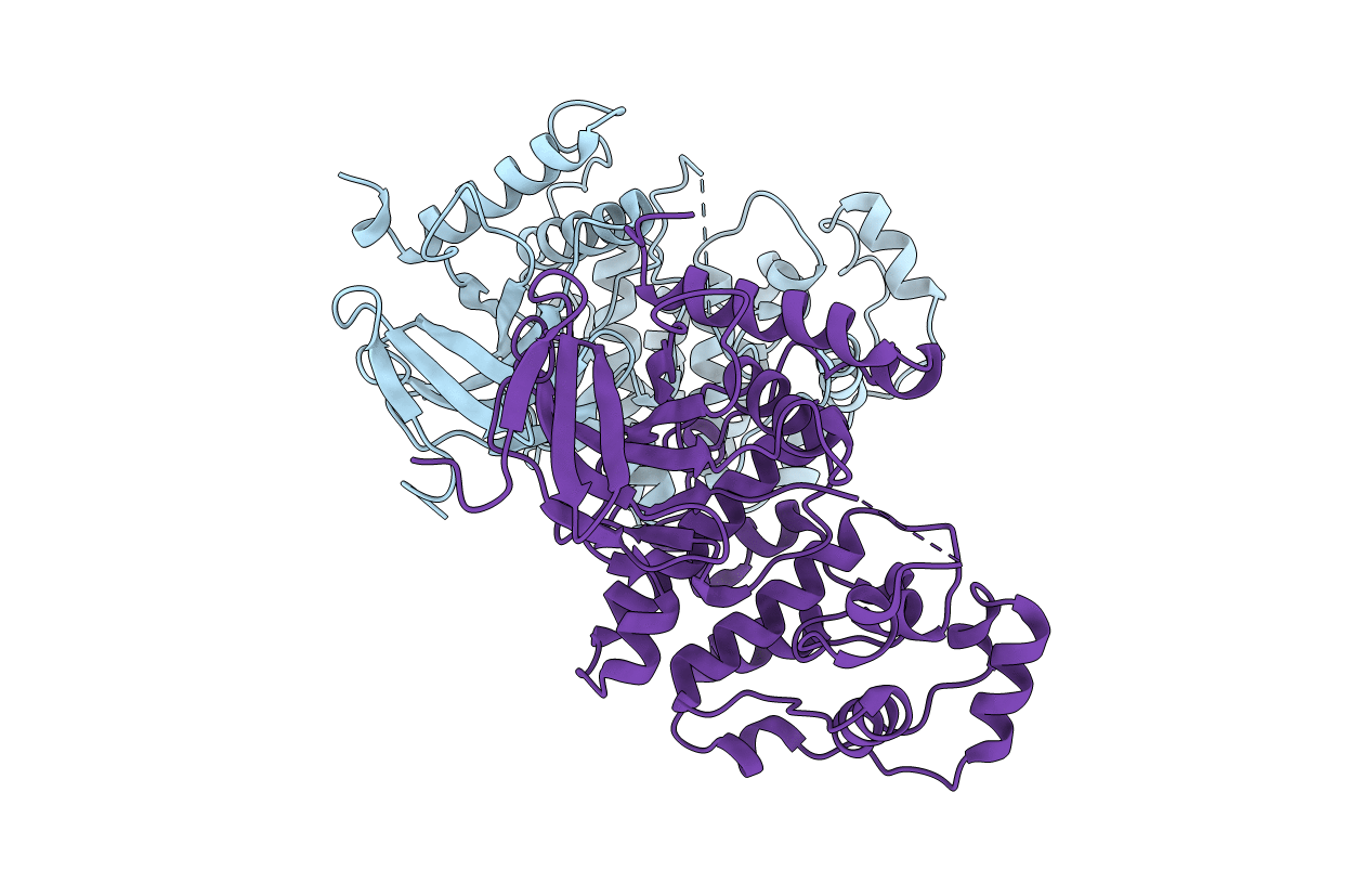 6DTL image
