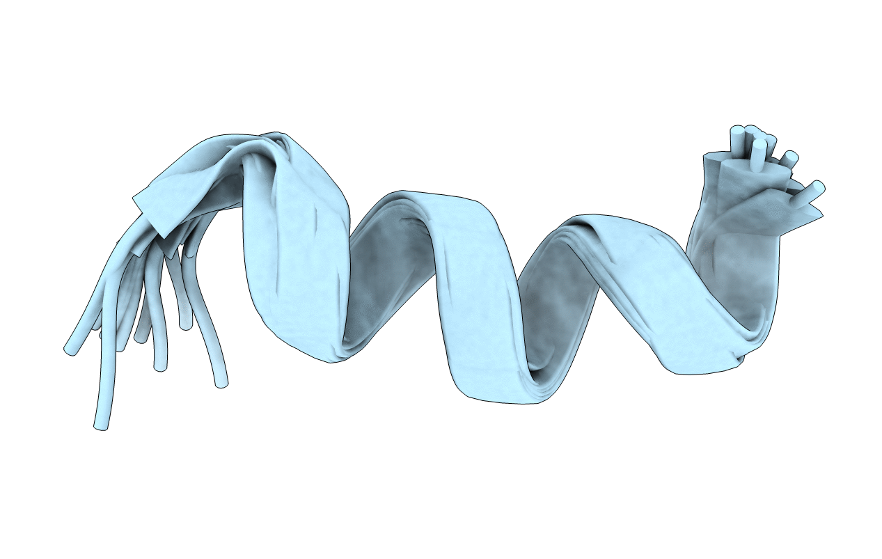 6DUL image