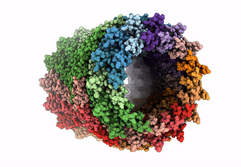 6DV3 image