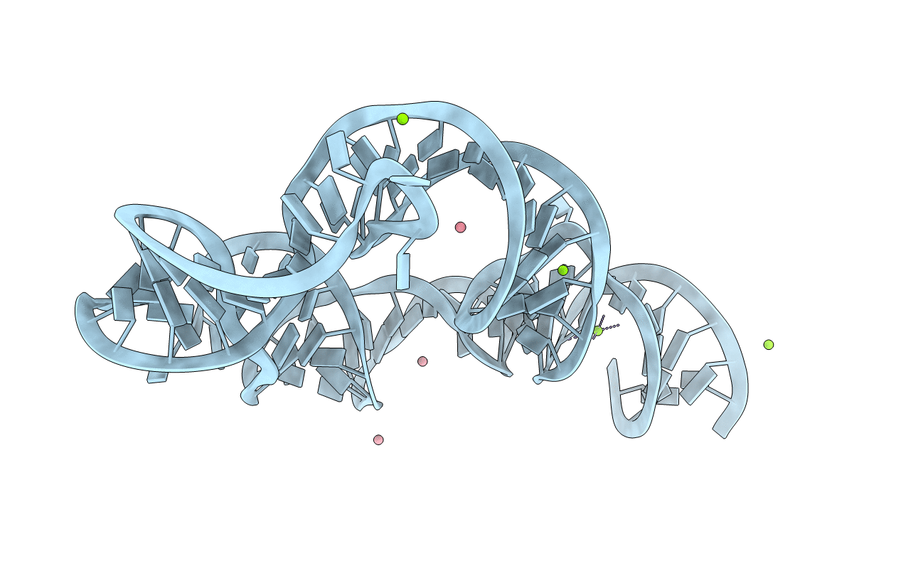 6DVK image