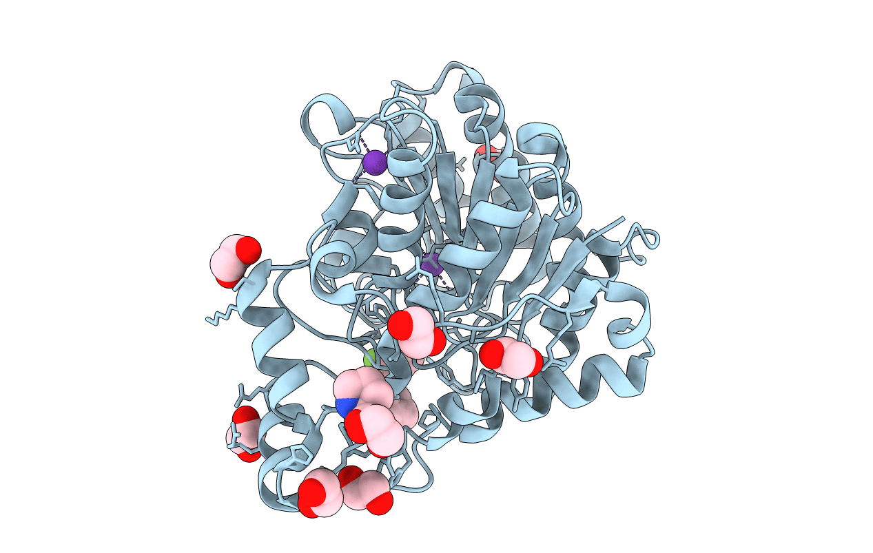 6DVO image