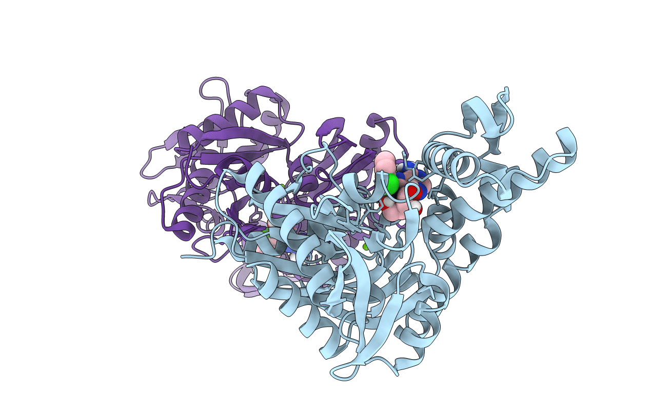 6DWS image