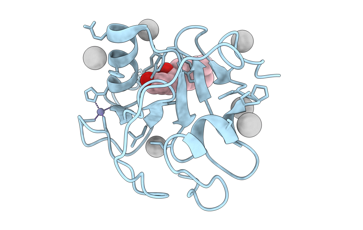 6DXH image