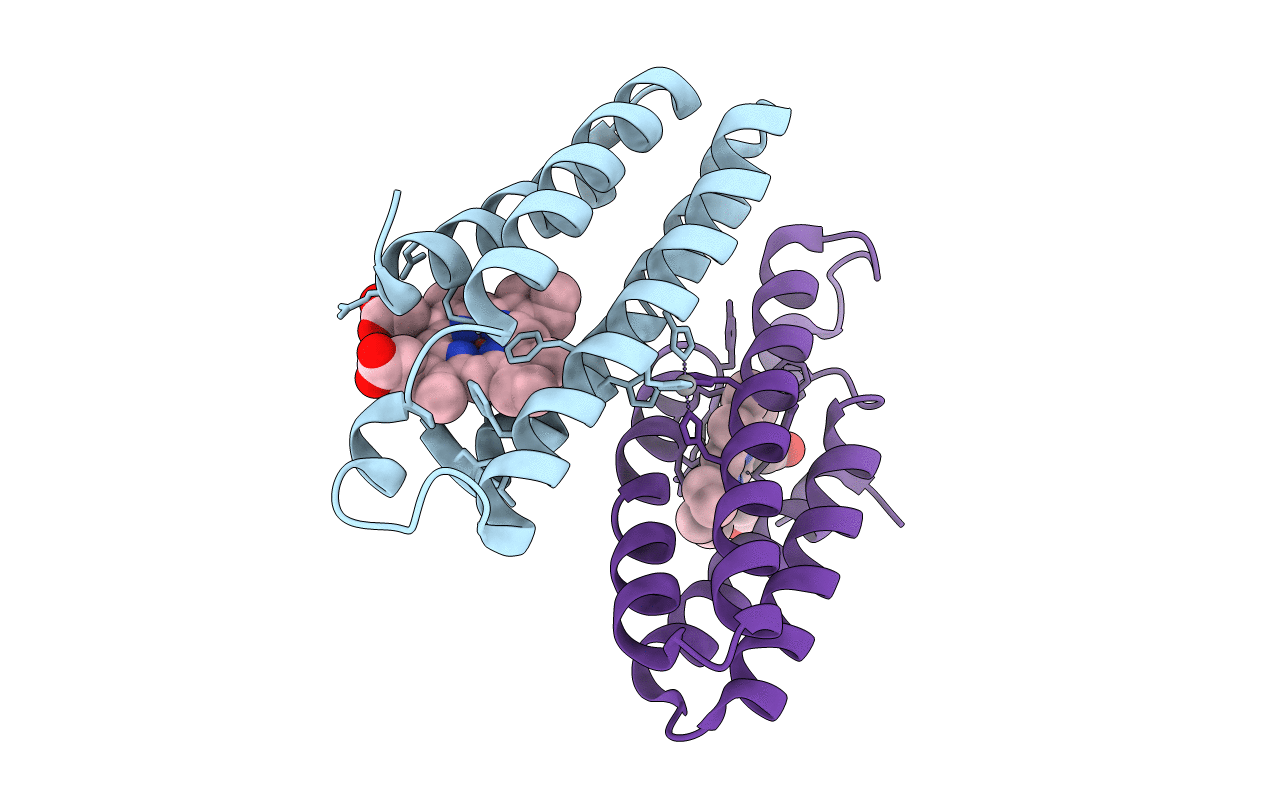 6DYH image