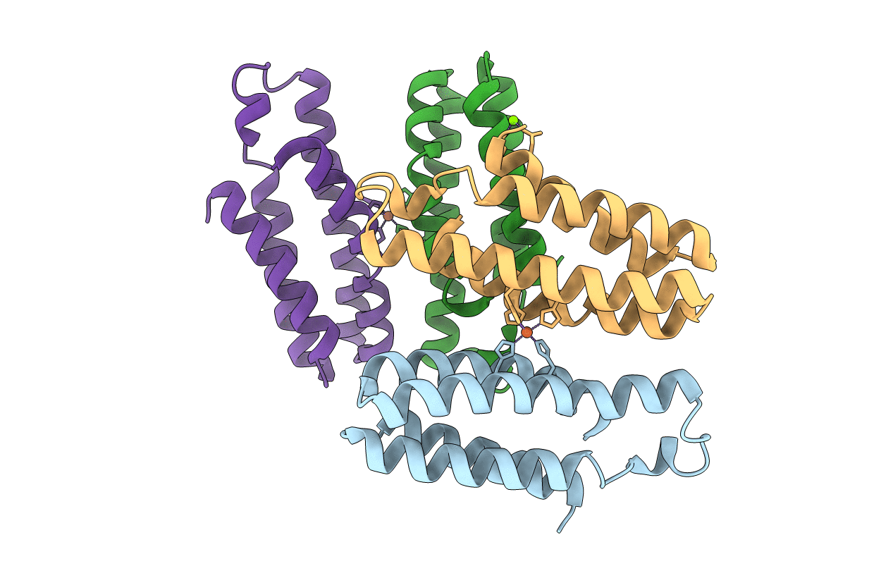 6DYJ image