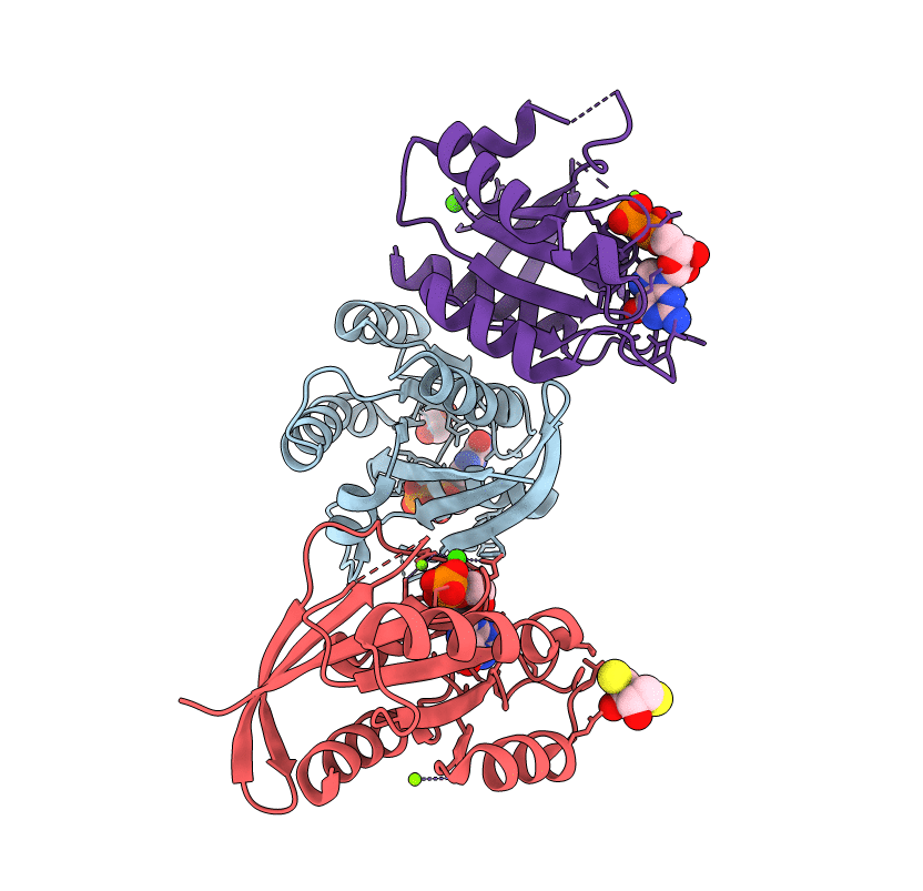 6DZH image