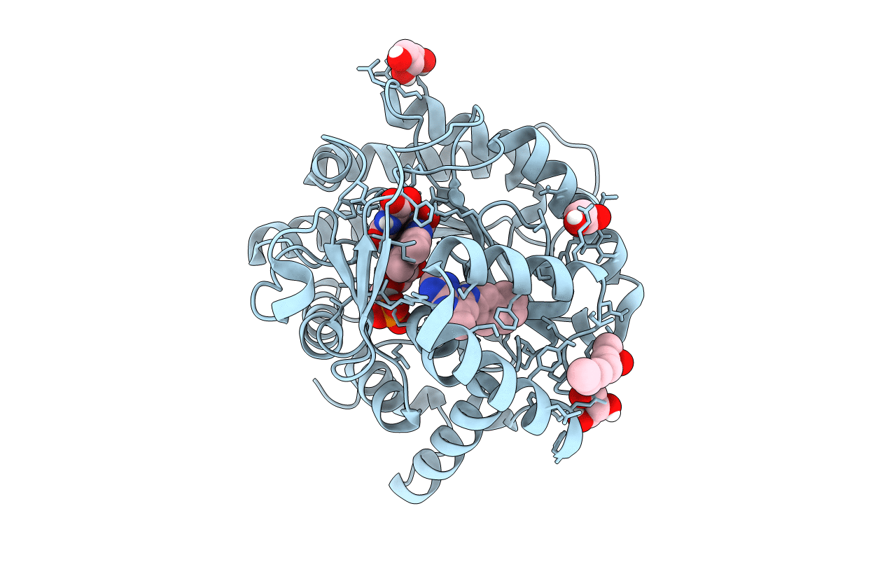 6E0B image