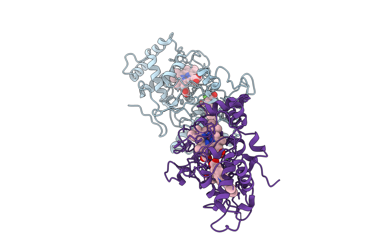 6E1C image