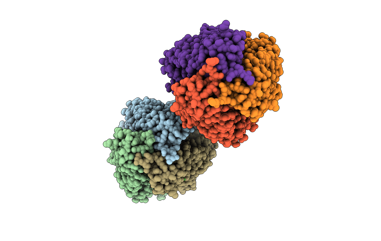 6E1R image