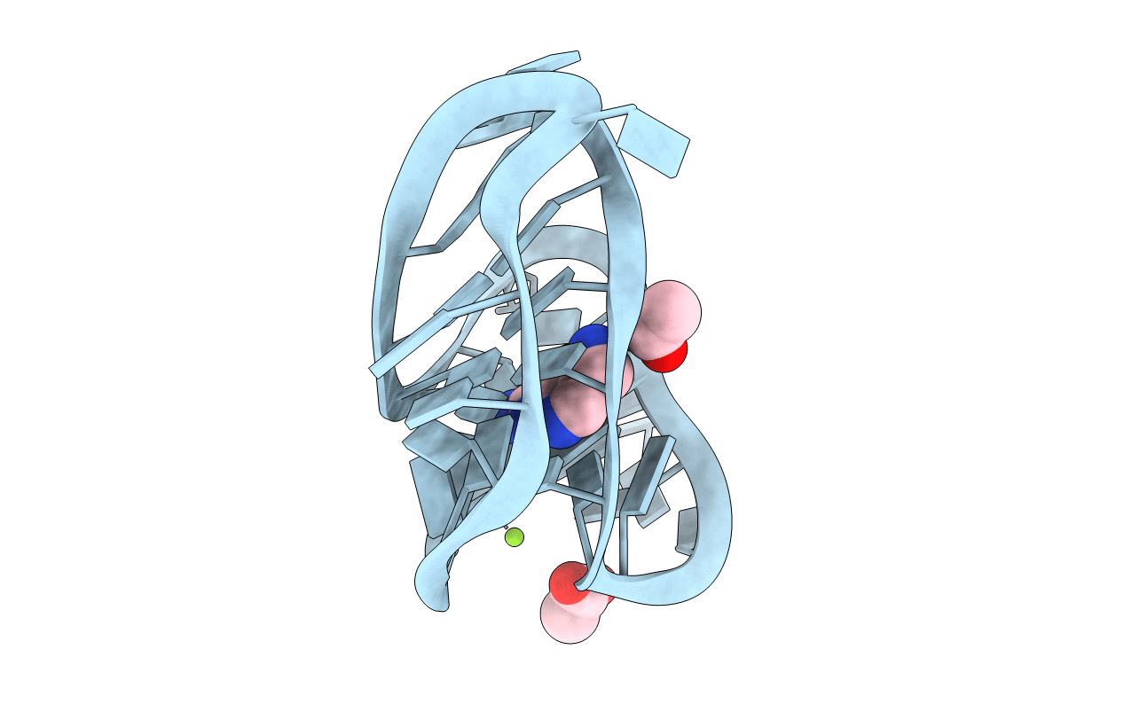 6E1W image