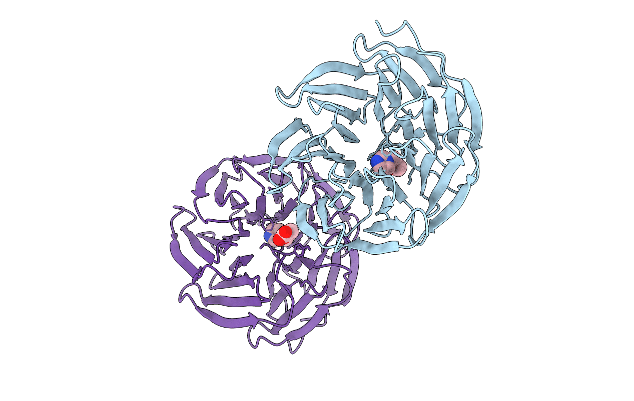 6E1Z image