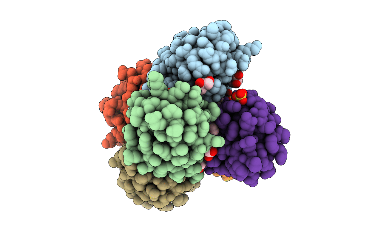 6E2B image